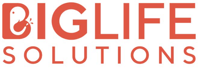 Biglife Solutions logo
